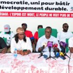 Le MSD dénonce le refus de PASTEF de voter la LFR 2026 : « une trahison de la majorité envers le peuple »